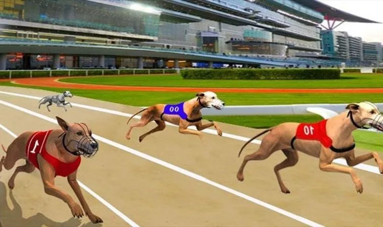 Cách chơi game nhanh Đua Chó Tại HitClub